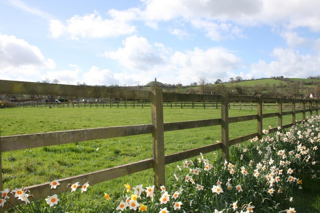 Middlewick Holiday Cottages Glastonbury Zewnętrze zdjęcie